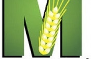 Мегатрон ЕАД - лого на компанията