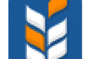 Rynok-APK - лого на компанията
