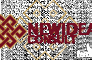Ню Айдиас Консулт ООД - лого на компанията
