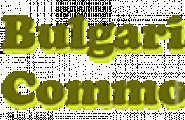 Бългериън Комодитис ООД - лого на компанията