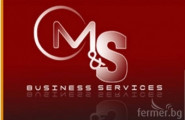 МС Счетоводни услуги  - лого на компанията