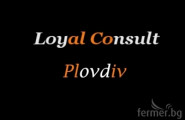 Лоял Консулт Пловдив - лого на компанията