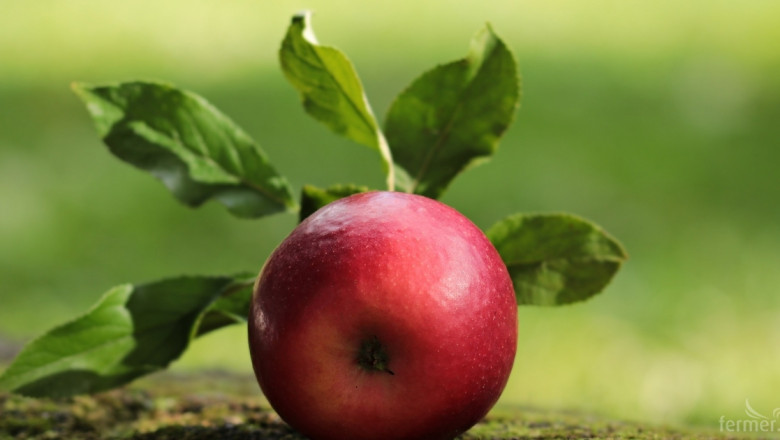 Земеделието – ябълката на раздора в преговорите със САЩ
