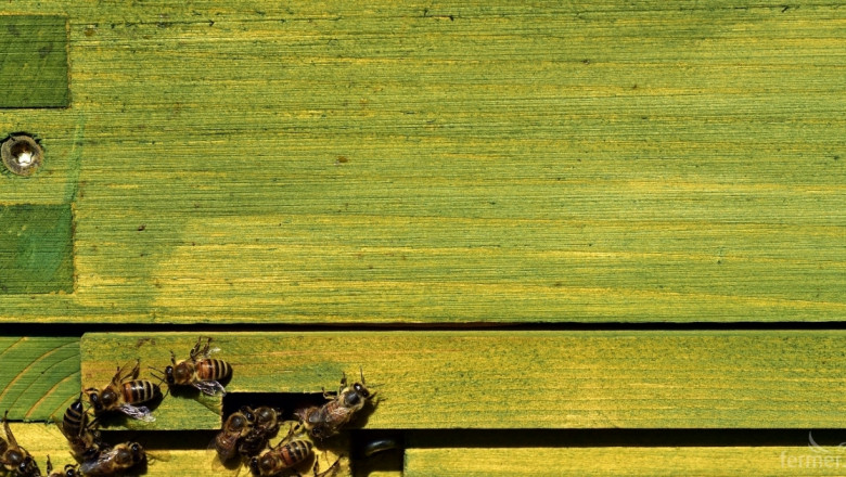 За какви промени в Наредба 13 се борят пчеларите?