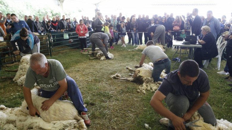 Оспорвани фермерски състезания в трите дни на Събора на овцевъдите