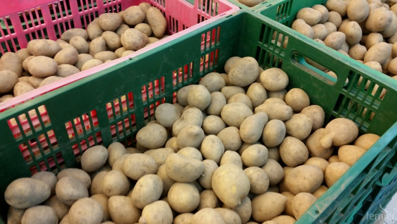 Расте вносът на картофи и зеле в страната