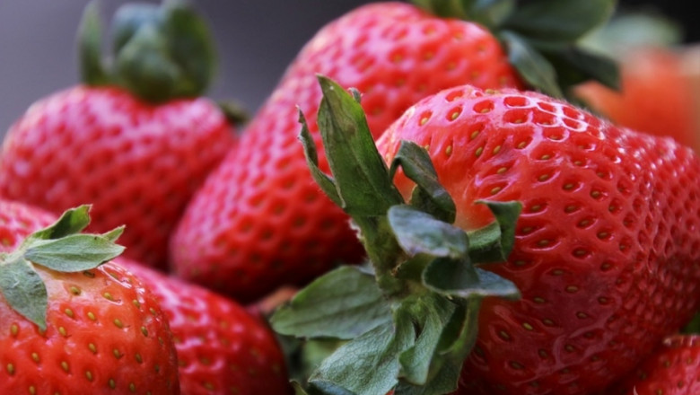 Неконтролируем внос на ягоди мори италианските фермери
