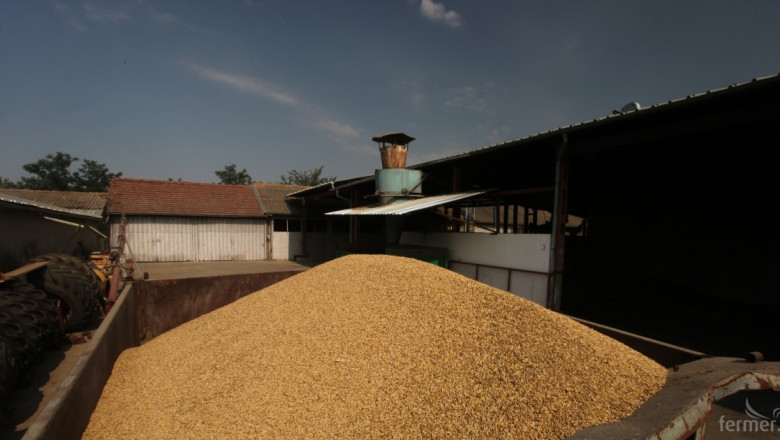 По борсите: Цените на зърното са на кръстопът