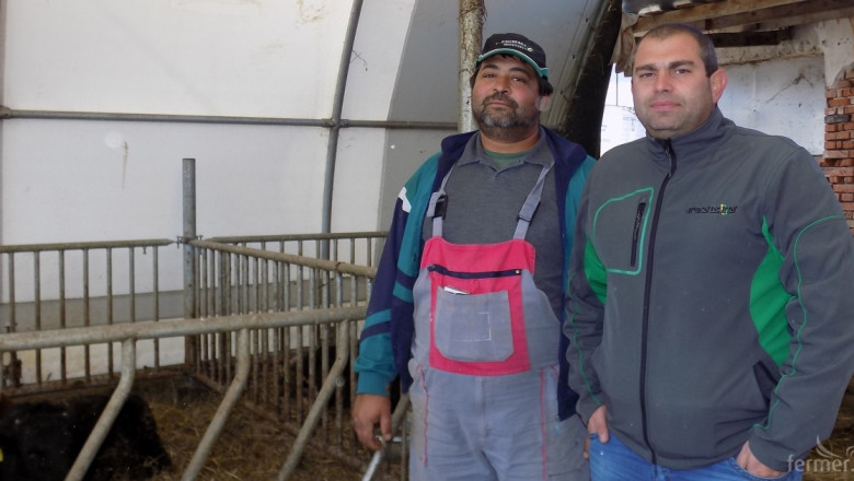 Как животновъдна ферма се спаси от липсата на работна ръка? 