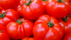 Страната, която може да стане суперпроизводител на домати  - Agri.bg
