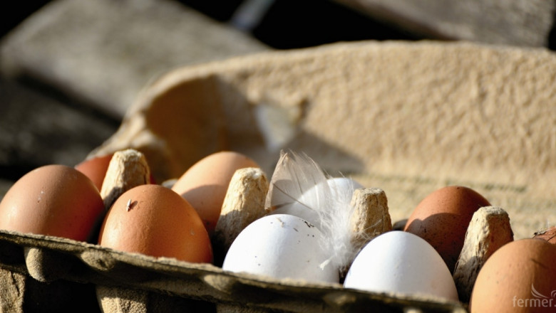 Фермер: Пазарът за хубави яйца е неограничен