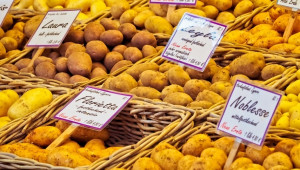 Какво се случва с производството на картофи в Европа  - Agri.bg