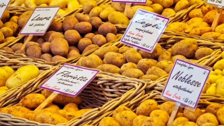 Какво се случва с производството на картофи в Европа 