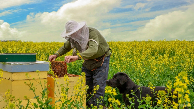 Прецизното земеделие и в пчеларството