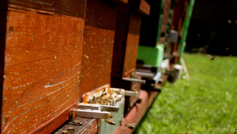 Дигиталното пчеларство води двама еврокомисари в София 