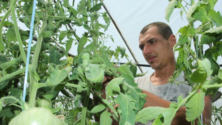 Застой в българското зеленчукопроизводство