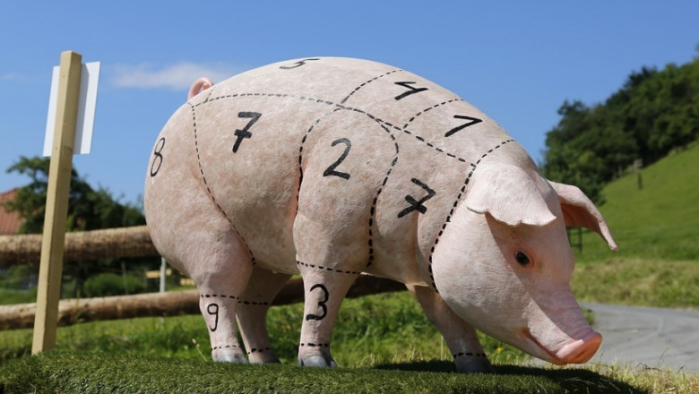 ЕС: Поголовието от свине расте, но рентабилността намалява 