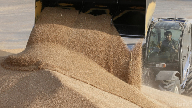 Големи сделки с хлебна пшеница по 405 лева за тон