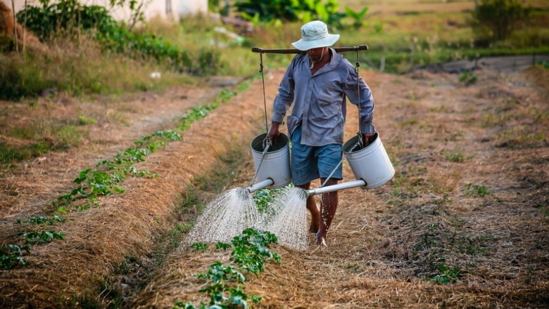 Гел защитава фермерите от токсичността на пестицидите