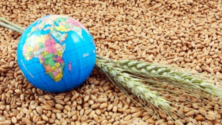 Търговската война между САЩ и Китай променя световните зърнени пазари