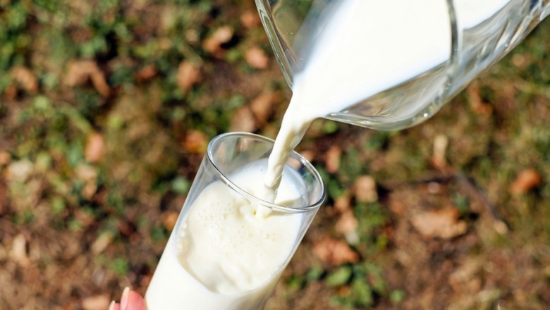 Цената на млякото в Европа не покрива разходите за производство 