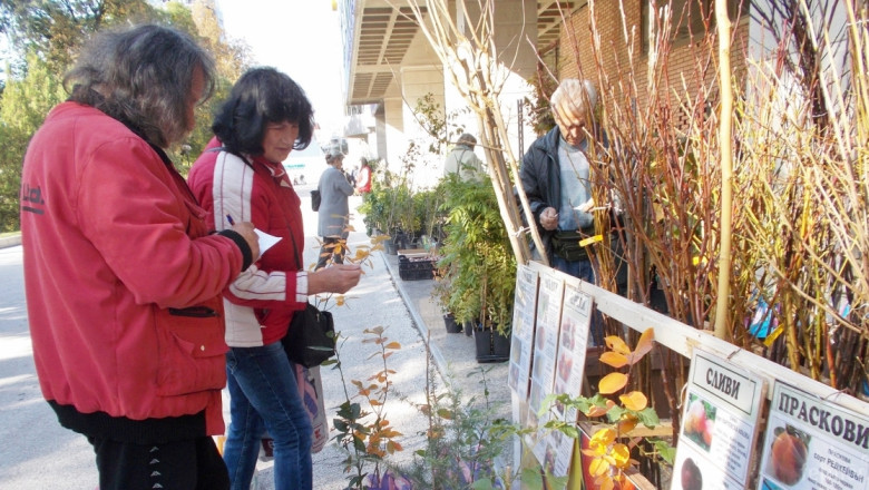 Градинари и овощари се събират на Цветна есен 2018