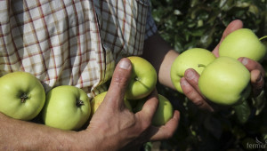 И от сектор "Плодове и зеленчуци" искат държавна помощ за мобилни инсталации - Agri.bg