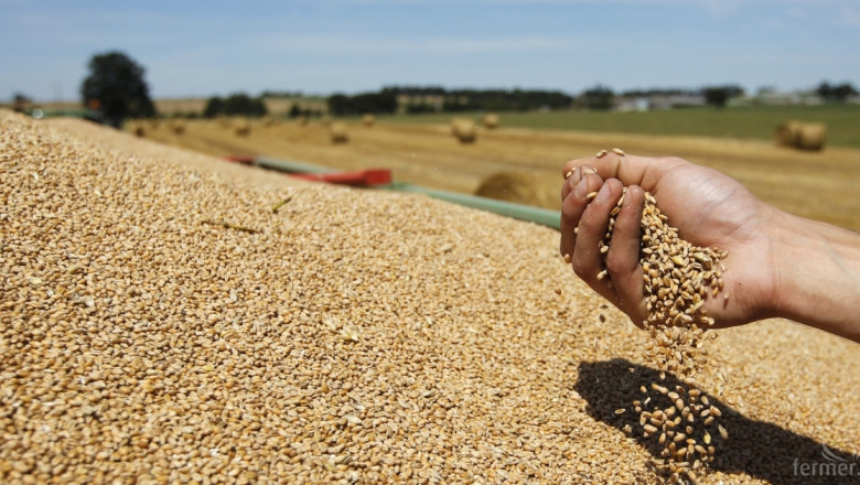 Прогноза: Поскъпването на пшеницата е към края си