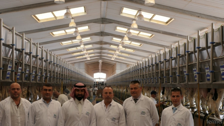 Саудитски принц се гордее с 45 литра млеконадой от крава