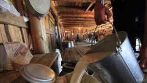 Агроиновации: Къса верига на доставка на фермерско мляко в Гърция - Agri.bg