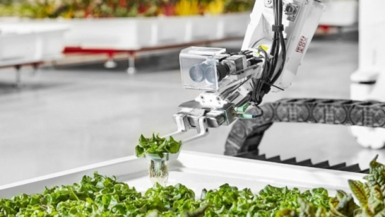Роботът Ангъс заменя работниците във фермата