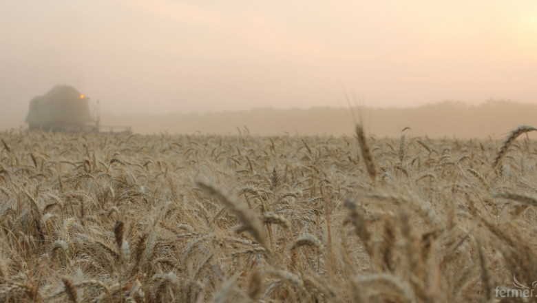 САЩ получи по-лесен достъп до канадския пазар на пшеница