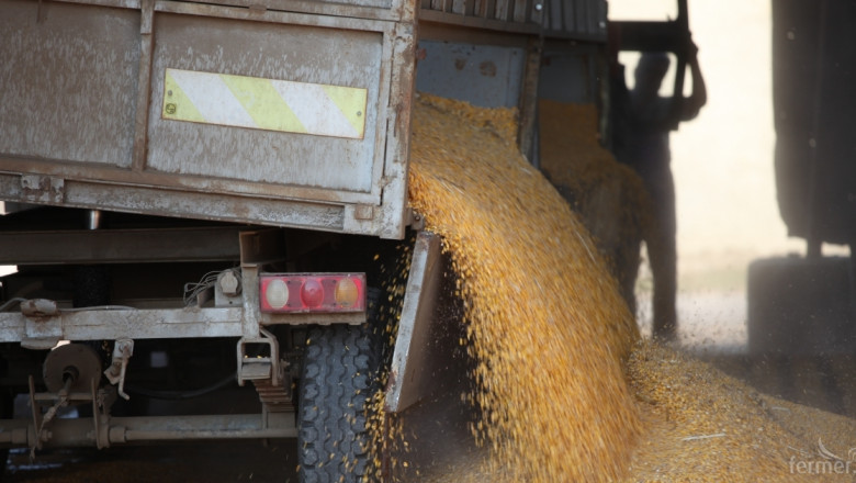 В Ловешко прибират по 751 кг/дка царевица 