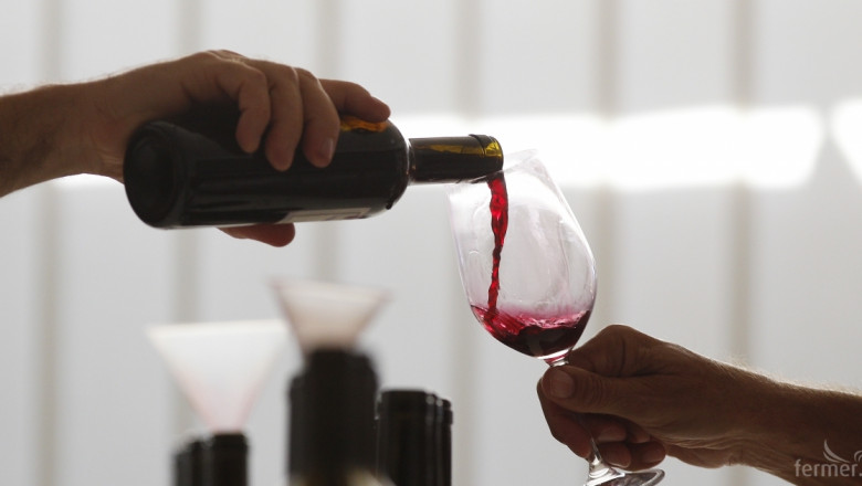 От лозето в избата – историята на една винарна
