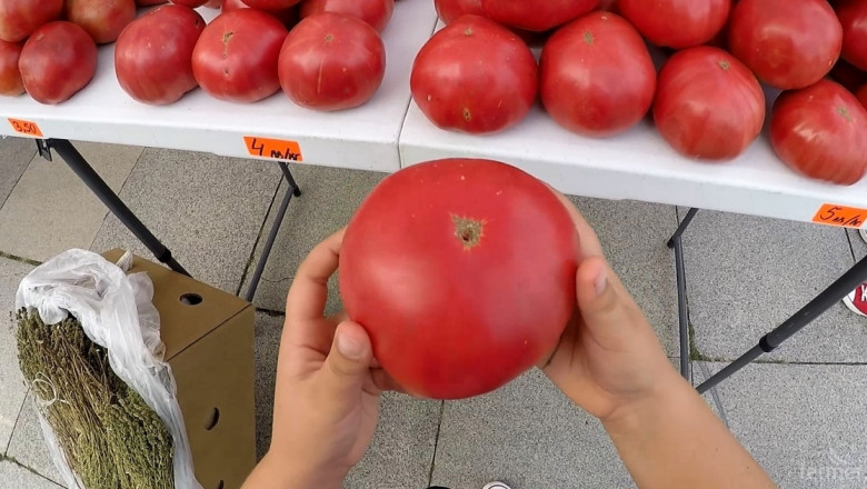 Вкусът на българина – розовият домат 