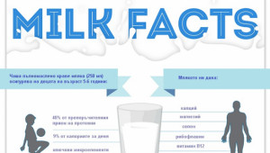 ФАО публикува любопитни данни за световното производство на мляко - Agri.bg
