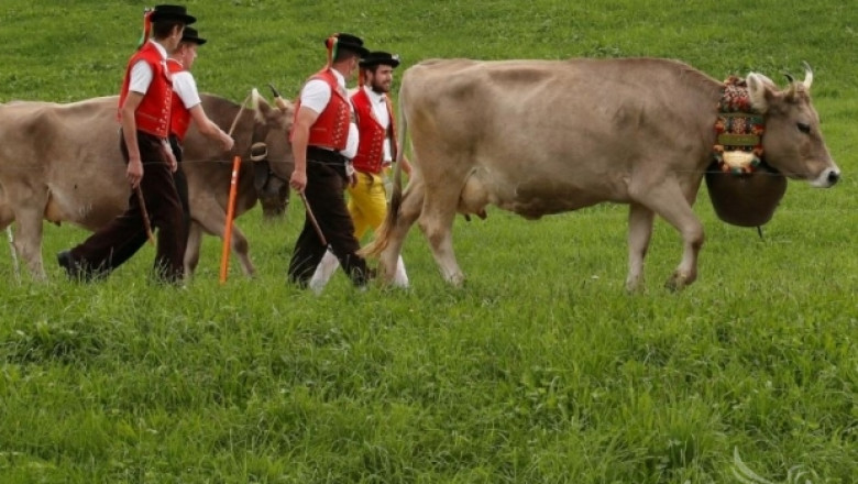 Швейцарските гласоподаватели не приеха допълнителни субсидии за фермерите