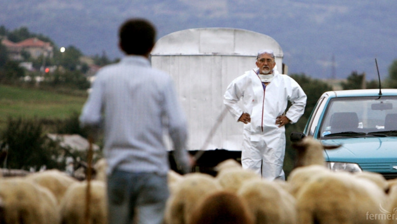 Спешно заседание заради мъртвите овце в стадото на Ани в Болярово