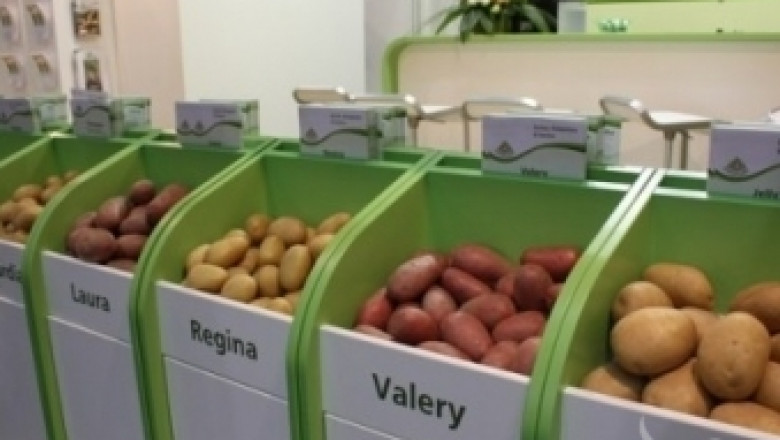 Картофите поскъпнаха заради жегата в Европа 