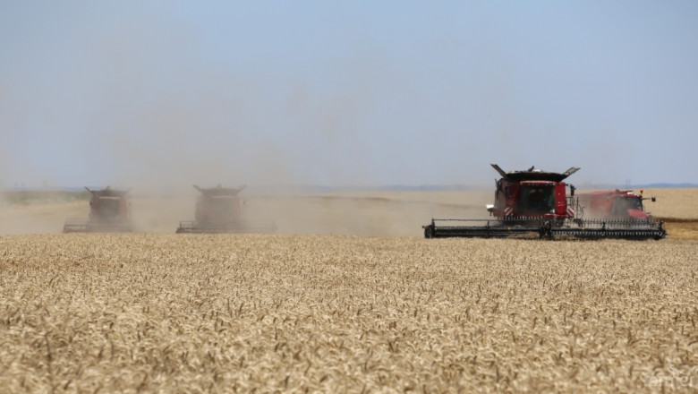 Като теглим чертата: 5,4 млн. тона пшеница тази година 