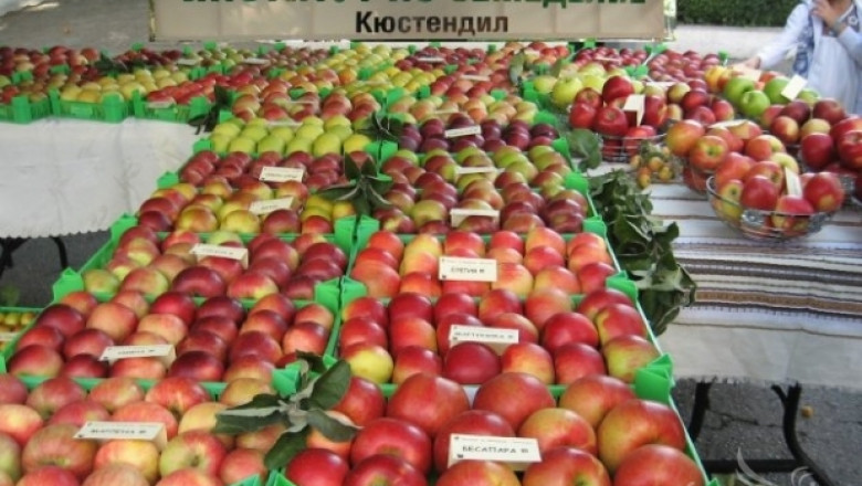 Полша страда от свръхпроизводство на ябълки 