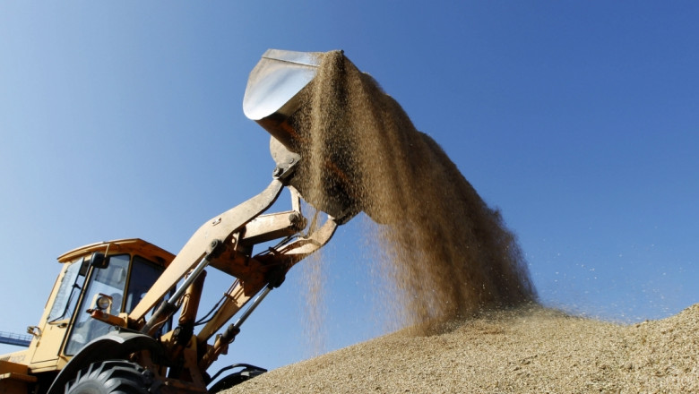 Агресивен износ на Русия и Украйна смъкна цените на пшеницата 