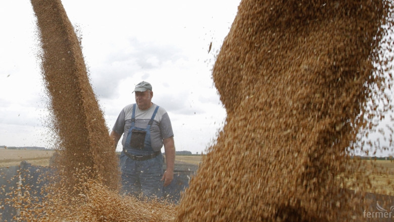 Хлебната пшеница на борсата – предлагането е на 410.00 лв./тон 