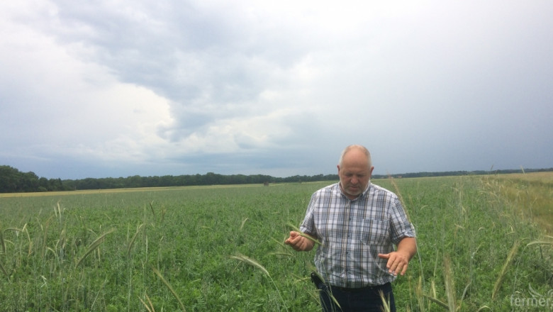 Агроиновации: Оперативна група в Австрия тества методи за съхранение на почвата