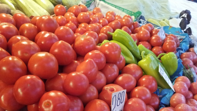Въпреки споделеното от фермерите, МЗХГ отчита двойно по-богата реколта от домати 