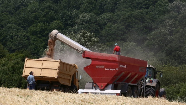 Изкупната цена на пшеницата продължава да расте