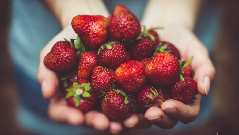 Пазари на замразени ягоди, които предлагат големи възможности