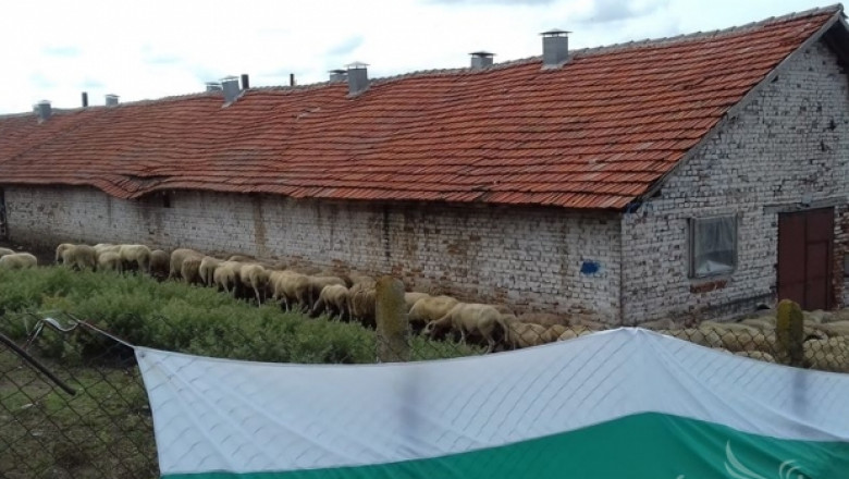 Д-р Пламен Пасков: Няма епидемия, случва се избиване на овце и кози в Странджа