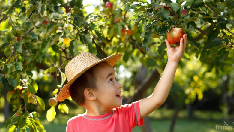 Земеделец поиска 44% от всички доставки Училищен плод 