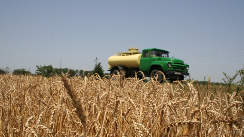 Експерт: Възможна е цена на пшеницата до 350 лв./тон